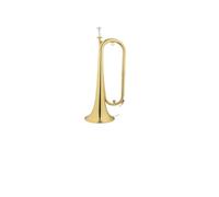 ALFAAL Tromba Professionale Suonare Uno Strumento Musicale in Ottone Tromba Giovanile Si bemolle