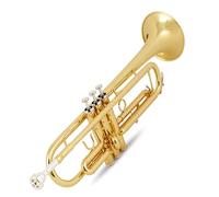 ALFAAL Tromba Professionale Tromba a Tre Note in Si bemolle Principiante Che Suona la Tromba da Banda per Adulti