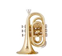 ALFAAL Tromba Professionale Tromba Portatile Micro Tascabile Tromba in Ottone Prestazioni per esami di Grado principiante