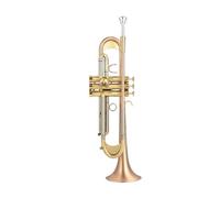 ALFAAL Tromba Professionale Tromba Professionale a Tre Note in Si bemolle per carichi Pesanti