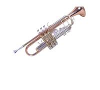 ALFAAL Tromba Professionale Tromba Strumento B lacca Piatta Oro Esame di ammissione per Principianti Orchestra Scolastica Tromba Universale