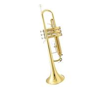 ALFAAL Tromba Standard Strumento A Tromba in Si Bemolle per Principianti Tromba Professionale in Lacca Dorata
