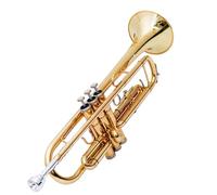 ALFAAL Tromba Standard Strumento A Tromba Si Bemolle Tromba A Tre Note per Principianti Strumento in Ottone per Banda Professionale