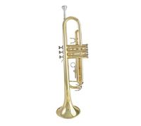 ALFAAL Tromba Standard Strumento A Tromba Standard Tromba in Si Bemolle Strumento in Ottone per Principianti con Prestazioni Professionali(B)