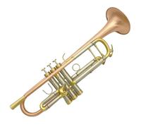ALFAAL Tromba Standard Strumento Musicale Professionale per Tromba in Bronzo Fosforoso Spazzolato Amplifica La qualità del Suono E La Tromba Spessa