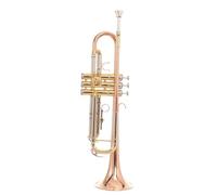 ALFAAL Tromba Standard Strumento per Tromba in Si Bemolle per Principianti Tromba A Pistoni per Prestazioni Professionali Strumento per Tromba per Adulti(C)