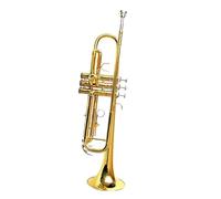 ALFAAL Tromba Standard Strumento Tromba da Esibizione Tubo di Ottone Tromba in Si Bemolle Ottone Tromba A Tre Toni Principiante