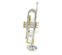 ALFAAL Tromba Standard Tromba Bicolore Placcata in Argento Si Bemolle Tromba in Ottone Placcato Argento Strumento Musicale per Principianti Prestazioni Professionali