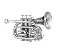 ALFAAL Tromba Standard Tromba in SIB Mini Tromba Tascabile con Borsa per Il Trasporto Guanti Panno Corno Strumento in Ottone con Accessori per Tromba