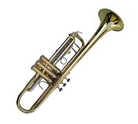 ALFAAL Tromba Standard Tromba Professionale in Si Bemolle Materiale in Rame Dorato Cassa Placcata in Oro Tono di qualità Professionale Corno per Tromba