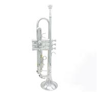 ALFAAL Tromba Standard Tromba Standard per Strumento in Ottone Piatto SIB B con Guanti Custodia con Cinturino in Tessuto Accessori per Strumenti Musicali