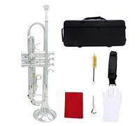 ALFAAL Trombe B Tromba in Oro Piatto Tromba Silver Tromba Importata Strumento Musicale Tromba in Ottone Strumento a Tromba (Color : Silver)