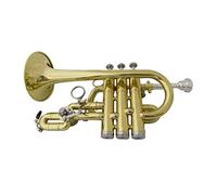 ALFAAL Trombe BB Tromba Brush Finishes Brass Trombe con Cassa Cassa Strumenti Musicali Trompete Pistoni in Acciaio Inox Strumento a Tromba (Color : Lacquer)