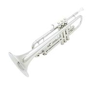 ALFAAL Trombe BB Tromba Piatta Tromba Durevole Tromba Durata Squisita con Guanti del Boccaglio Placcato Argento Una Scatola Imbottita E Cinturino Regolabile Strumento a Tromba