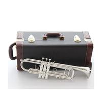 ALFAAL Trombe BB Tromba Silver Silver Placcato Strumenti Musicali Profesional Trombe Studente Incluso Case Case Bocchino Accessori Strumento a Tromba