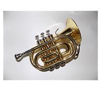 ALFAAL Trombe Lacca da Campanello della Tromba Tascabile in Ottone BB con Custodia E Portavoce di Strumenti Musicali Professionale Strumento a Tromba