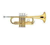 ALFAAL Trombe Laccato Oro Popolare Laccato in Oro EB D Tromba Strumento a Tromba