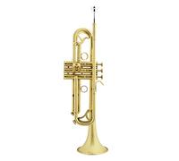 ALFAAL Trombe Piccolo Strumento Musicale Opaco Spazzolato Strumento a Tromba