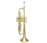 ALFAAL Trombe Piccolo Strumento Musicale Professionale B Trombet Tromba Strumento a Tromba
