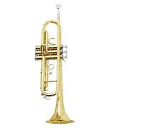 ALFAAL Trombe Prestazioni dello Strumento di Tromba di B-Flat Dorato per Principianti Strumento a Tromba