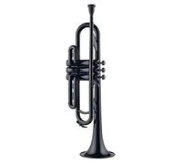 ALFAAL Trombe Strumento di Ottone per Strumenti Musicali Tromba di Tromba in Plastica in B B Strumento a Tromba (Color : 5)