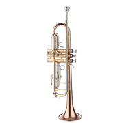 ALFAAL Trombe Strumento di Tromba in Ottone Fosforo in BR Strumento in Ottone Oro Laccato Tromba Piatto per Principianti Strumento a Tromba (Color : B)
