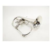 ALFAAL Trombe Strumento Musicale A Tromba in Argento Nichelato A Pistone in Si Bemolle Monel Strumento a Tromba