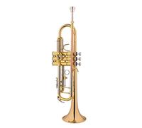ALFAAL Trombe Strumento Musicale Tromba in B-Flat Brass Brass Band Strumento a Tromba