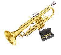 ALFAAL Trombe Tromba in Si Bemolle Young Pioneers Youth Bugle Charger Instrument Western Orchestra Beginner Examination Strumento a Tromba