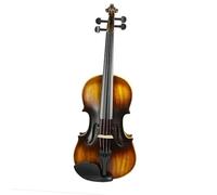 ALFAAL Violino Set Completo di Custodia per Violino per Violino Acustico Vintage 4/4 con Finitura Opaca a grandezza Naturale