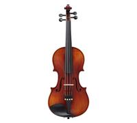 ALFAAL Violino Set di Prestazioni per Adulti per Pratica di Violino Professionale per Principianti in Legno massello puramente Fatto a Mano (Color : 1/2)