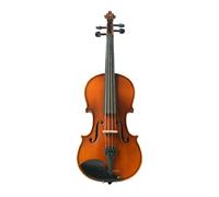 ALFAAL Violino Set per Principianti per Adulti in Legno massello Fatto a Mano per Violino 4/4 (Color : 1/2)