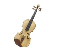 ALFAAL Violino Starter Kit a grandezza Naturale per Violino Acustico 4/4 con Custodia per Violino Arco per Violino per Amanti della Musica per Violino Violini e Accessori