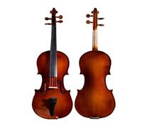 ALFAAL Violino Strumento a Corde a grandezza Naturale per Violino per Principianti in Legno massello Fatto a Mano per Adulti (Color : 1/10)