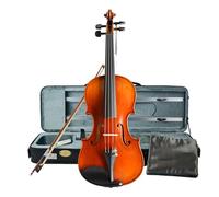 ALFAAL Violino Strumento Musicale di Fascia Alta per Adulti di Livello Professionale per Suonare Il Violino Fatto a Mano