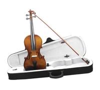 ALFAAL Violino Violino 4/4 Violino Acustico Violino Stile Vintage con Custodia Arco per Principianti per Adulti (Color : 4/4)