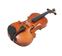 ALFAAL Violino Violino Acustico Durevole 4/4 3/4 1/2 1/8 Colore Naturale e Nero Violino per Principianti con Custodia e Archetto (Color : 4/4)