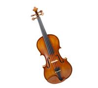 ALFAAL Violino Violino Acustico in Legno massello Fatto a Mano Violino da Esame Maschile e Femminile con Prestazioni Professionali avanzate (Color : 1/8)