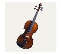 ALFAAL Violino Violino Fatto a Mano Puro Competizione di Livello Professionale Prestazioni per Adulti (Color : 1/10)