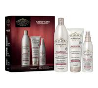 Alfaparf Milano Il Salone Milano Magnificent Kit confezione regalo per capelli tinti