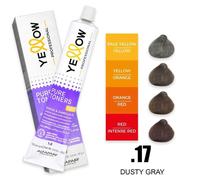 Yellow Alfaparf Pure Toners- Dusty Grey.17-100ml