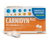 ALFASIGMA SpA CARNIDYN PLUS 18CRP MASTICABIL