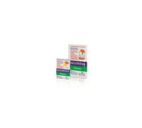 Alfasigma Salonpas 10 Cerotti Medicati 6,5 X 4,2 Cm