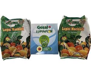 ALFE Lupini Macinati kg.1 Offerta X 2 Pezzi