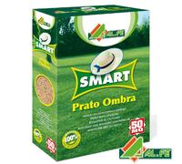 Alfe Smart PRATO OMBRA SEMI TAPPETO ERBOSO RESISTENTE CALPESTIO AREE GIOCO 1 Kg