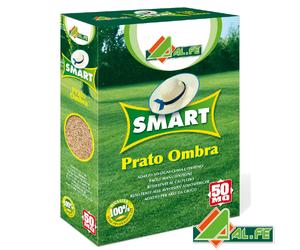 Alfe Smart PRATO OMBRA SEMI TAPPETO ERBOSO RESISTENTE CALPESTIO AREE GIOCO 1 Kg