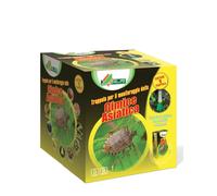 Alfe - TRAPPOLA per CIMICE ASIATICA
