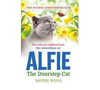 Alfie the Doorstep Cat: The Sunday Times bestseller and perfect stocking filler: Book 1