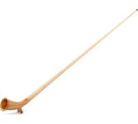 Alfons Neumann Alphorn Meisterklasse