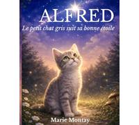 Alfred le petit chat gris suit sa bonne étoile